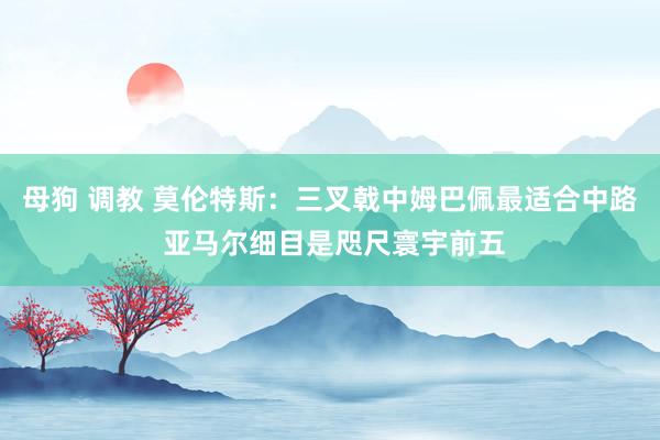 母狗 调教 莫伦特斯：三叉戟中姆巴佩最适合中路 亚马尔细目是